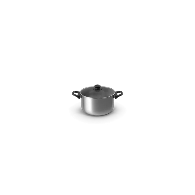 Silver Pot With Glass Cap