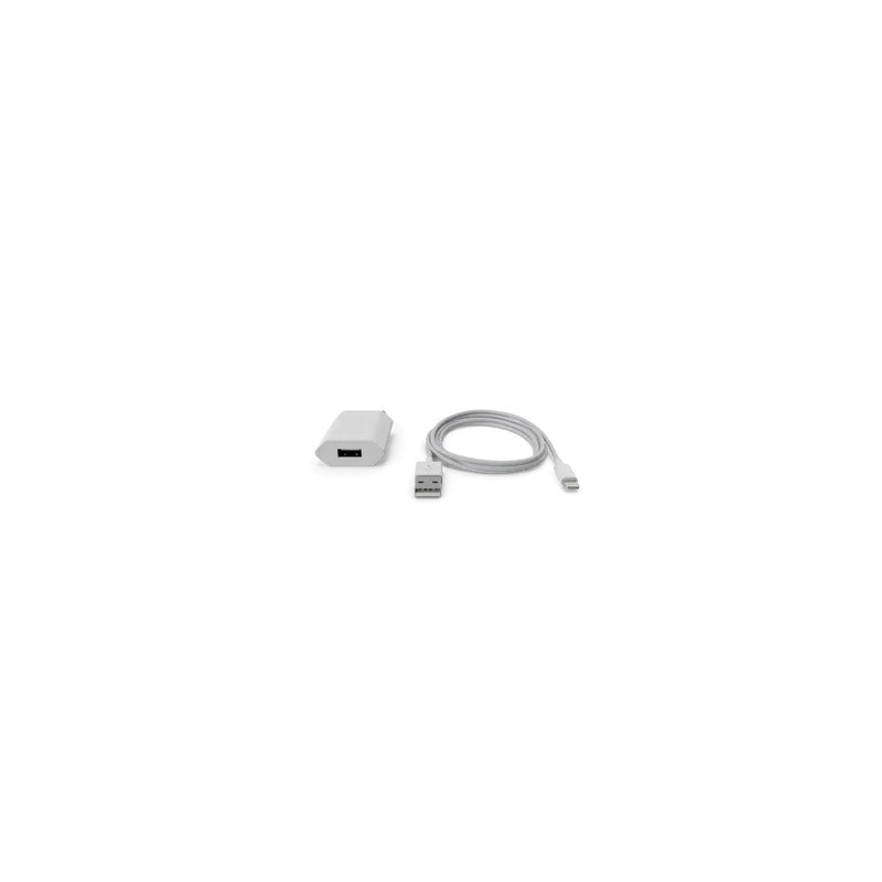 Apple iPhone Charger (Multi-variant)