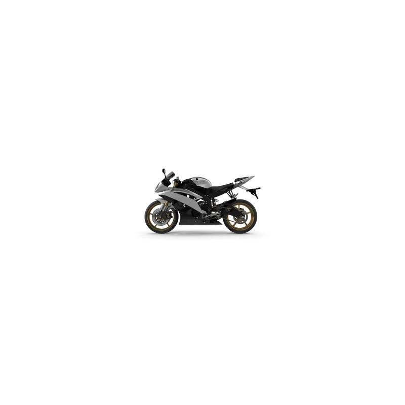 Generic Motorcycle (Multi-variant)