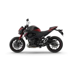 Kawasaki Z800 (Multi-variant)