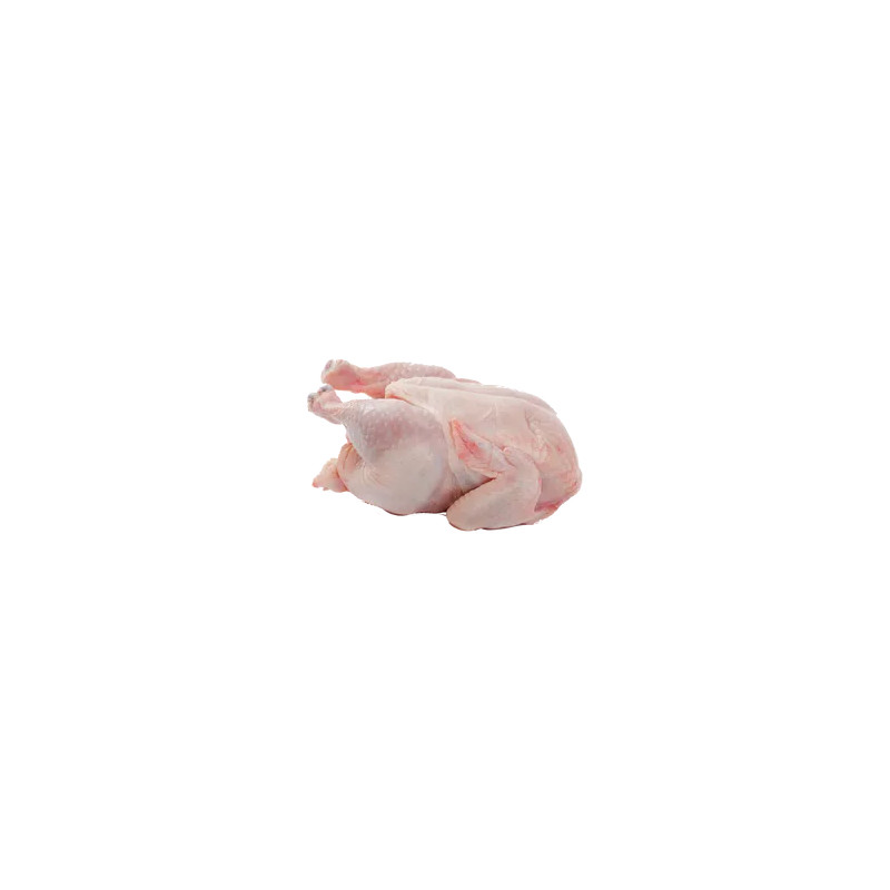 Chicken Meat