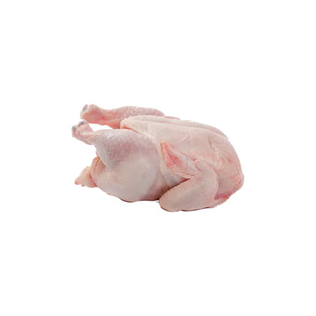 Chicken Meat
